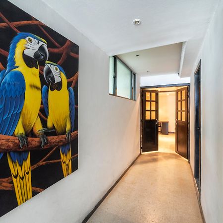 Hotel Elegant Suite 波哥大 外观 照片
