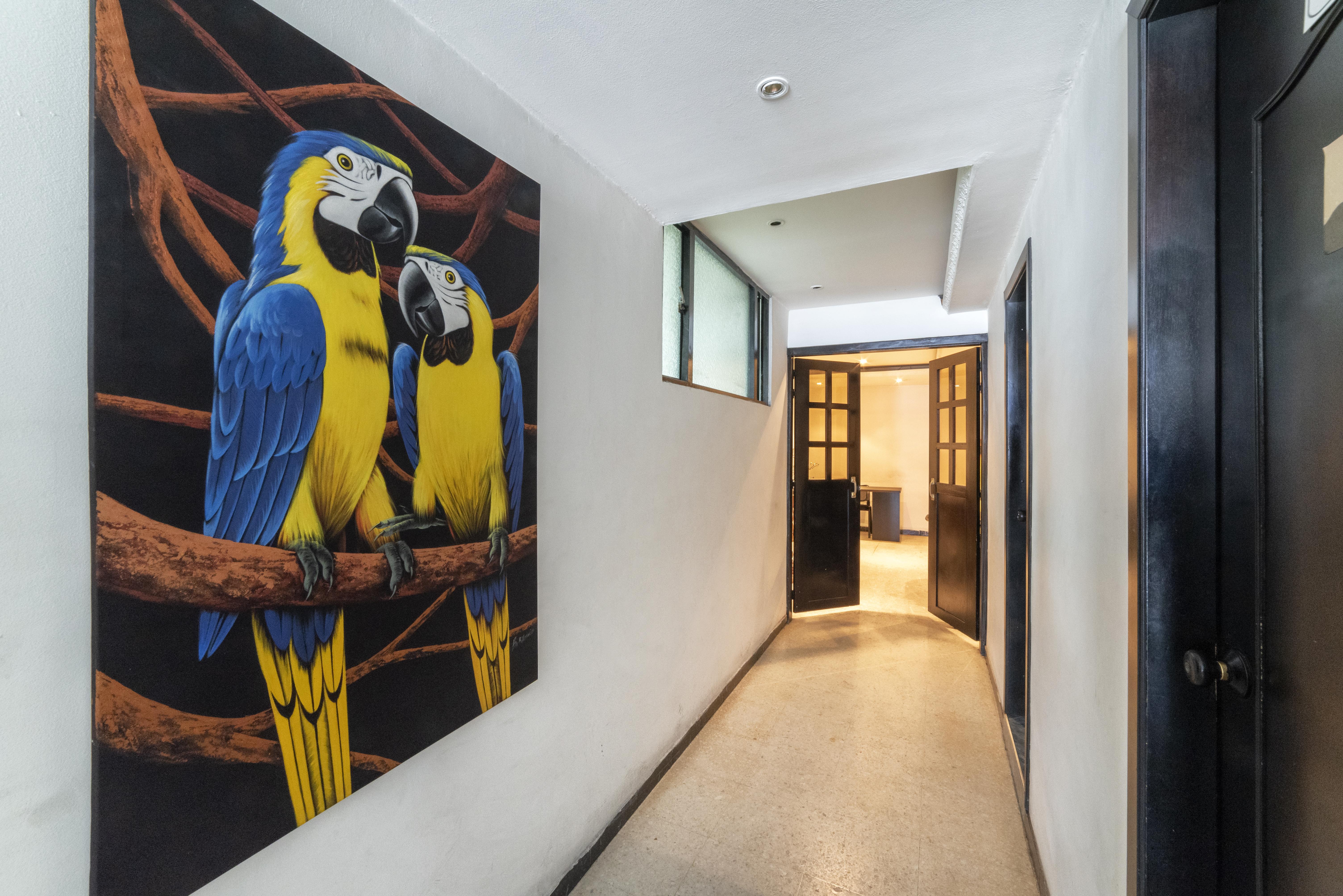 Hotel Elegant Suite 波哥大 外观 照片